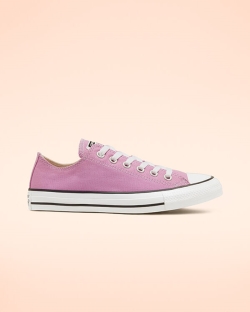 Converse Seasonal Color Chuck Taylor All Star Női Rövidszárú Rózsaszín | VOLWRJB-HU